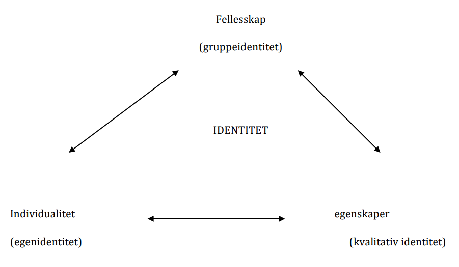 Mod3_Artikkel2_01_Identitet